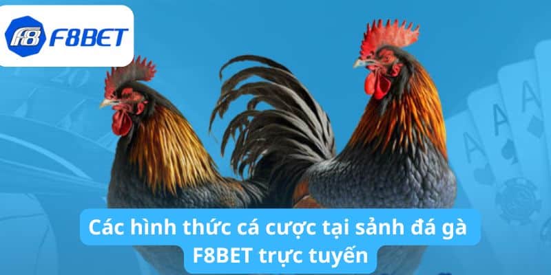 Các hình thức cá cược tại sảnh đá gà F8BET trực tuyến