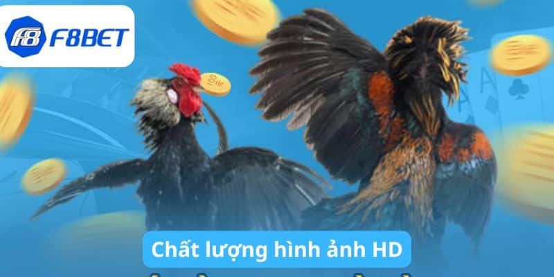 Chất lượng hình ảnh HD