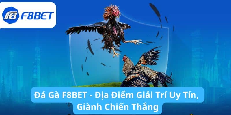 Đá Gà F8BET - Địa Điểm Giải Trí Uy Tín, Giành Chiến Thắng