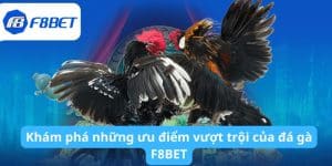 Khám phá những ưu điểm vượt trội của đá gà F8BET